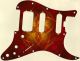Abstract 10 - HSS Shawbucker Elite Strat