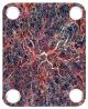 Abstract 11