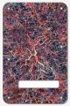 Abstract 11