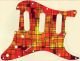 Abstract 29 - SSS Hendrix Voodoo Strat