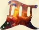 Abstract 31 - Vintera '50s Strat