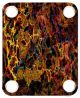 Abstract 36
