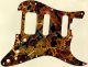 Abstract 36 - HSS Shawbucker Elite Strat