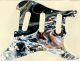 Abstract 53 - Vintera '60s Strat