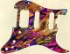 Abstract 88 - HSS Shawbucker Elite Strat