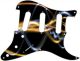 Abstract 9 - Vintera '50s Strat