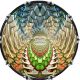 Abstract Crest 1