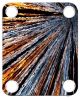 Abstract Stripes 2