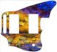 Abstract Sunset - Jaguar Blacktop