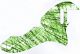 Abstract Stripes Green