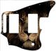 African Lion - Jaguar Blacktop