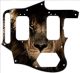 African Lion - Jaguar Classic Player