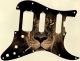 African Lion - HSS Shawbucker Elite Strat
