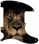 African Lion - Avril Lavigne Tele