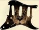 African Lion - SSS Hendrix Voodoo Strat