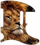 African Lion 4 - Vintera '50s Tele