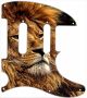 African Lion 4 - Tele Nashville