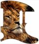 African Lion 4 - Vintera '60s Tele