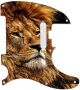 African Lion 4 - American Elite Tele