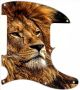 African Lion 4 - Avril Lavigne Tele