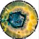 Agate Slice