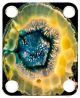 Agate Slice
