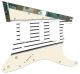 Aged White Tailguard