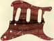 Alligator - SSS Elite Strat