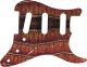 Alligator - Vintera '50s Strat