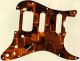 Amber Blocks - HSS Shawbucker Elite Strat