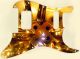 Amber Glass