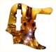 Amber Glass