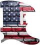 American Wall - American Elite Tele
