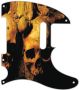 Ancient Skulls