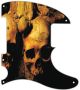 Ancient Skulls