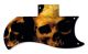 Ancient Skulls