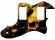 Ancient Skulls - Vintera '70s Tele Thinline