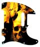 Ancient Skulls