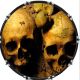 Ancient Skulls