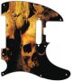 Ancient Skulls - American Elite Tele