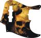 Ancient Skulls