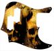 Ancient Skulls
