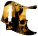 Ancient Skulls