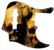 Ancient Skulls
