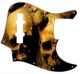 Ancient Skulls