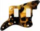 Ancient Skulls