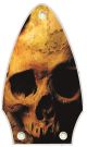 Ancient Skulls