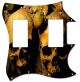 Ancient Skulls