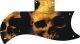 Ancient Skulls