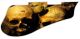 Ancient Skulls